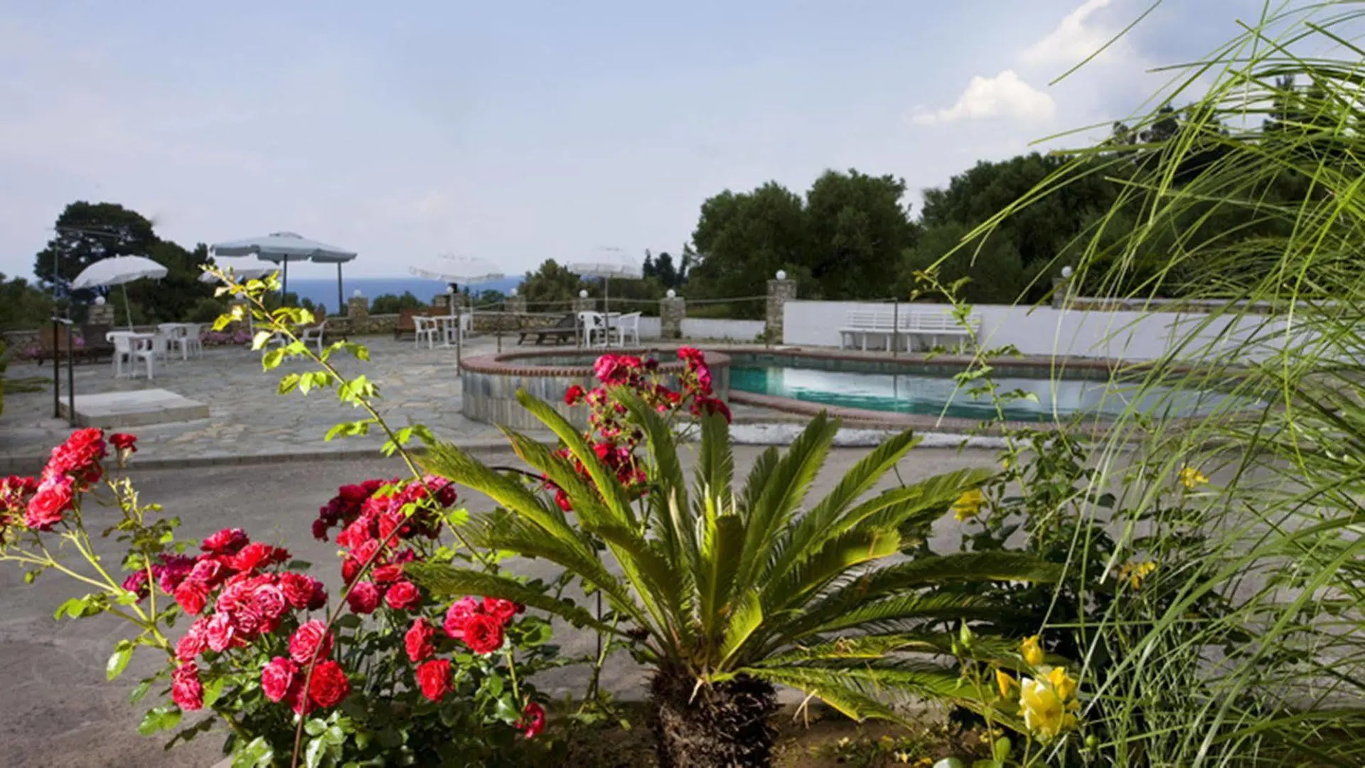 Pashos Hotel Kriopigi